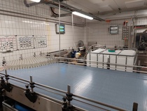 ennen pullot täytettiin ja niihin liimattiin etiketit manuaalisesti, nyt löytyy yksi pullotuslinja